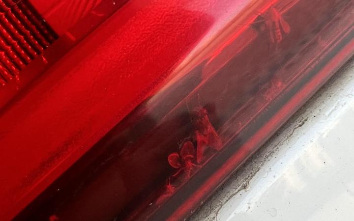 How to remove bugs trapped inside my bmw x1 tail lamps
