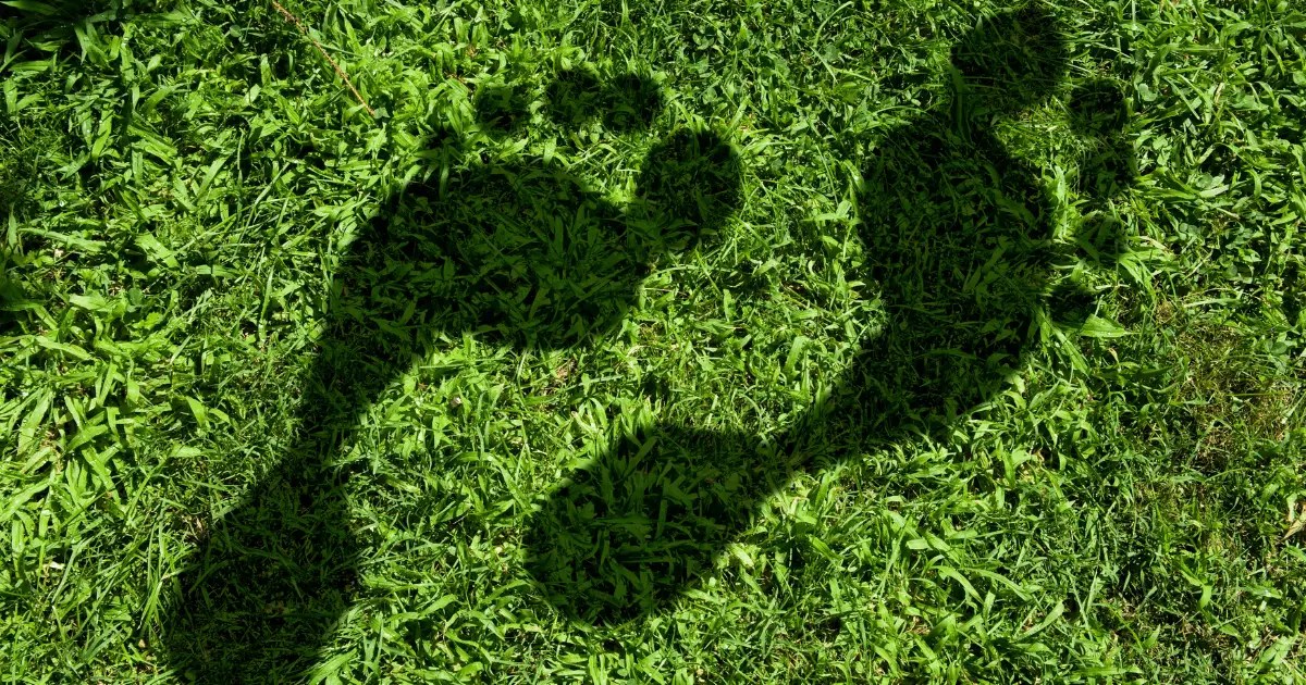 Carbon footprint in green grass