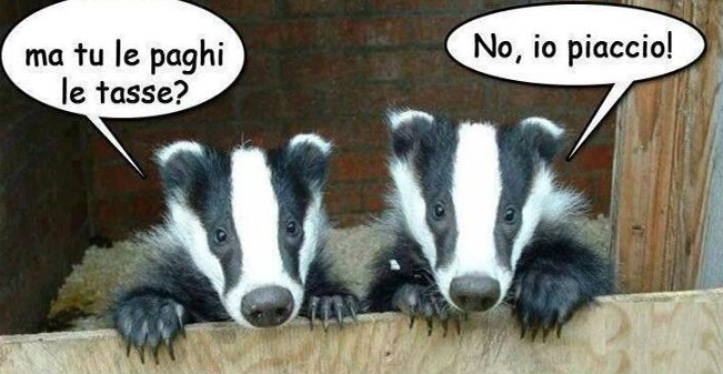 Registro IVA Minori per le Associazioni con contabilità 398/1991