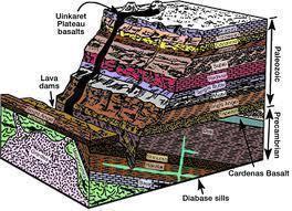 The technique of comparing the abundance ratio of a radioactive isotope to a reference isotope to determine the age of a material is called . Radiometric Dating
