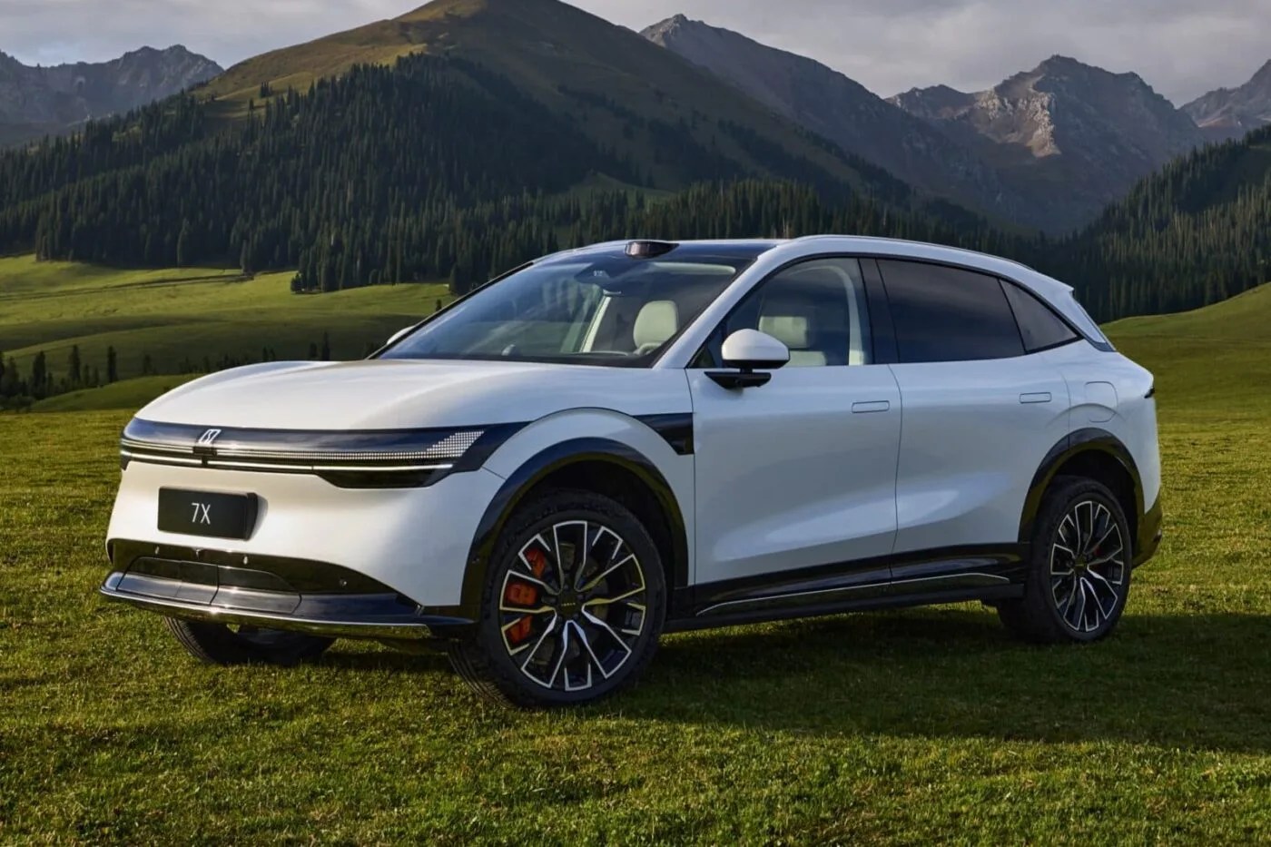 Zeekr Models Crushing Germany's EV Launch in 2025