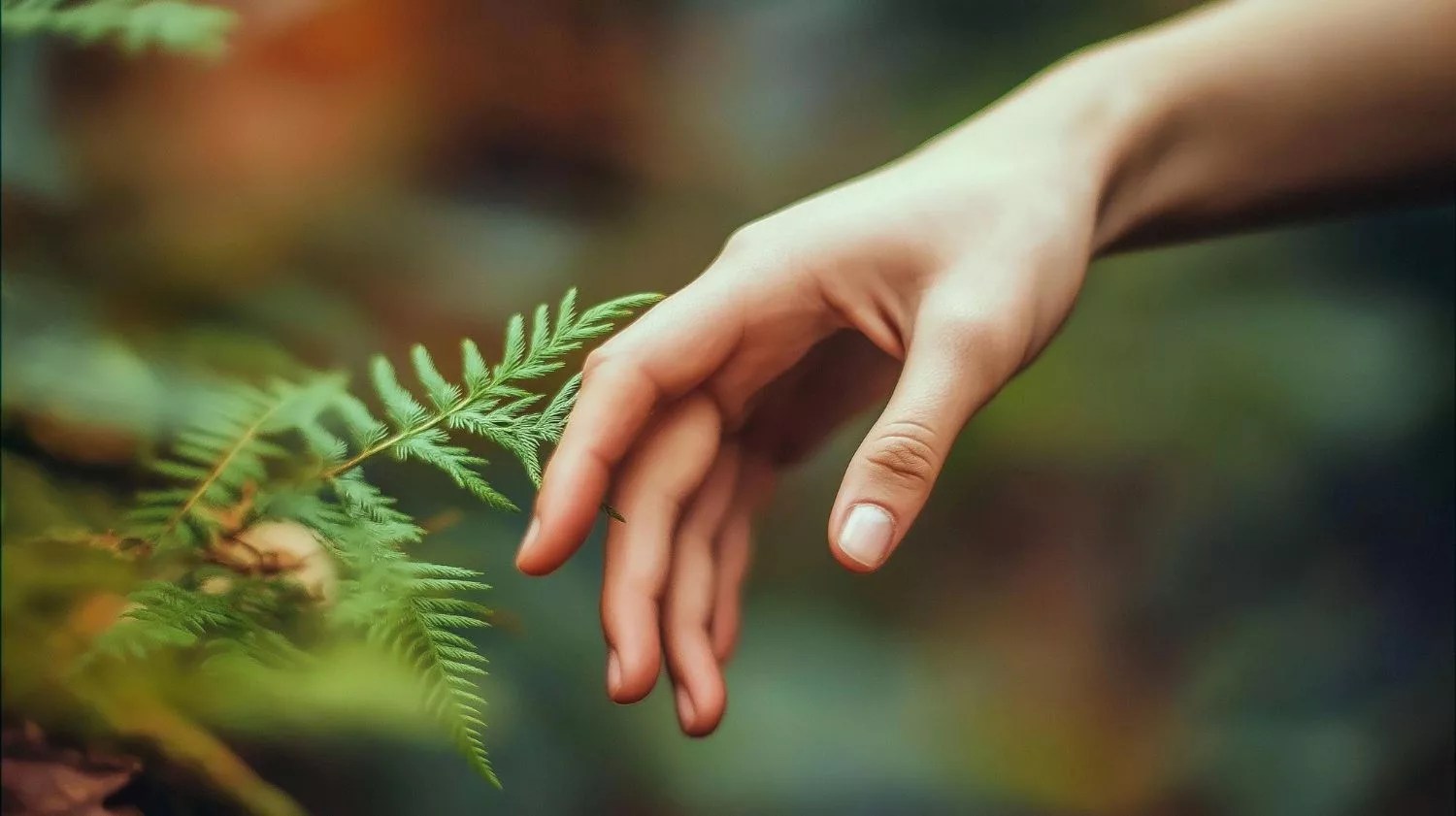 How Do Plants Feel Touch? Scientists Uncover Their Hidden Secret (2026)