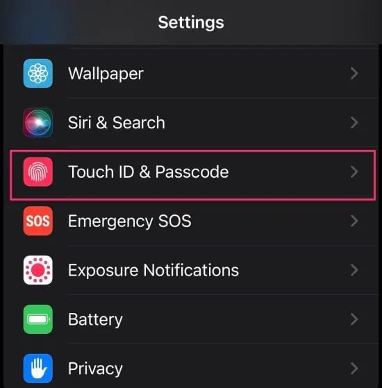 How To Turn On Privacy Screen On IPhone And IPad (2) How To Turn On Privacy Screen On IPhone And IPad (2)