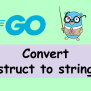 Golang Converting Struct To String | Technical Feeder