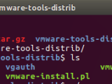 How To Install Vmware Tools Correctly In Ubuntu Linux Vm Technig
