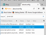 Firefox Enable Disable Javascript Technipages