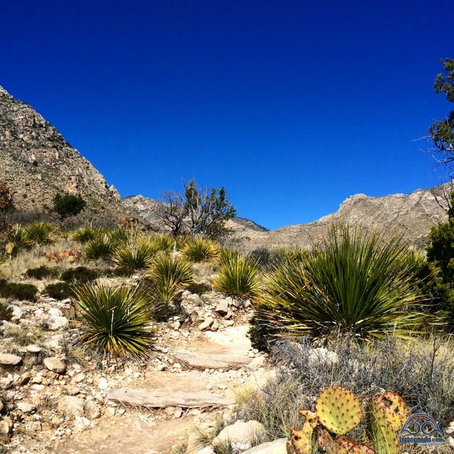 Hiking at Guadalupe Mountains