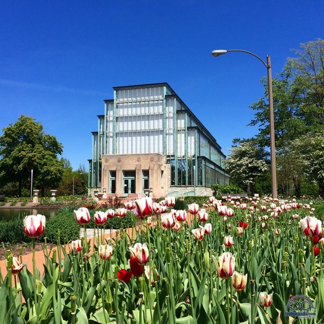 The Jewel Box at Forest Park