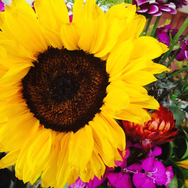 Birthday flowers.. a very rare treat for a nomad.. thanks Mom!