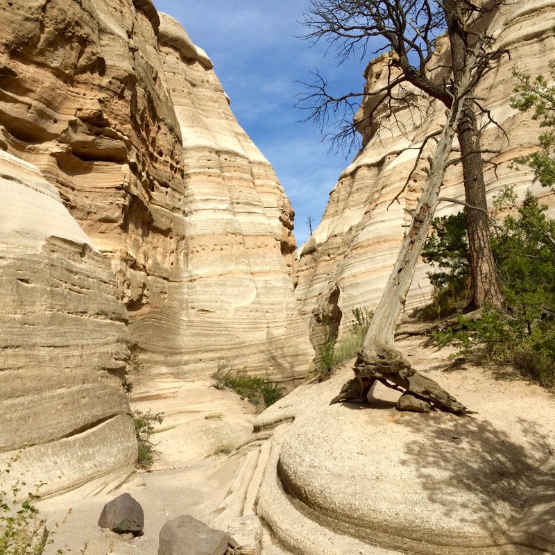 In the canyon trail.