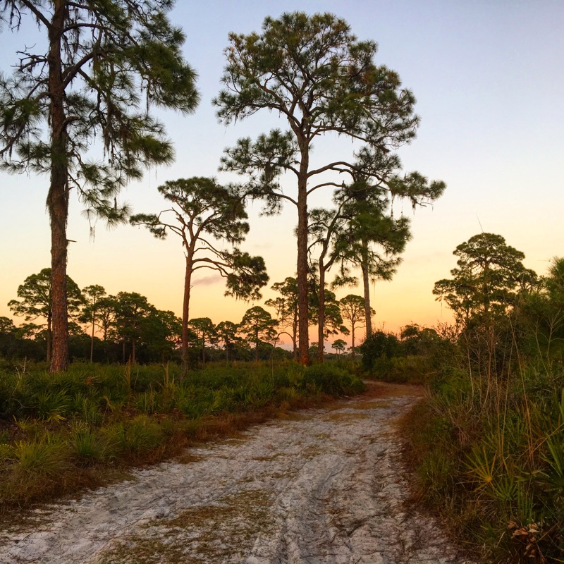 Hiking Trails in the Park