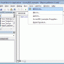 MS Access 2013: How To Activate The Built-in VBA Functions