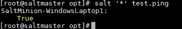 Salt Stack Windows Patching Example