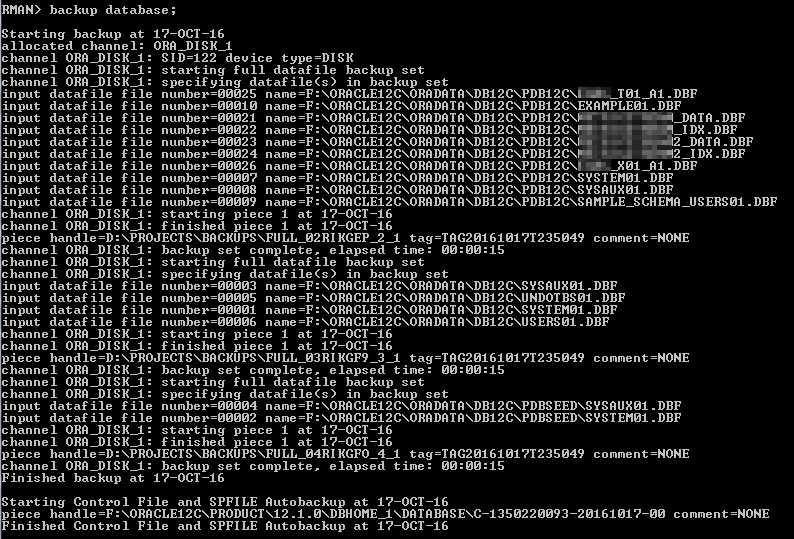 rman backup database