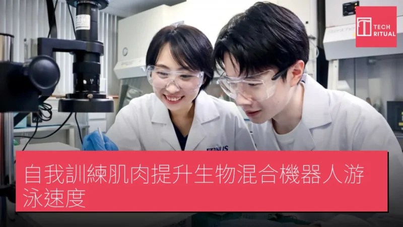 工程肌肉組織於滑動結構上相互拉扯，形成自發鍛鍊循環