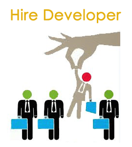 How to hire the best asp.net developers and programmers for your IT development company