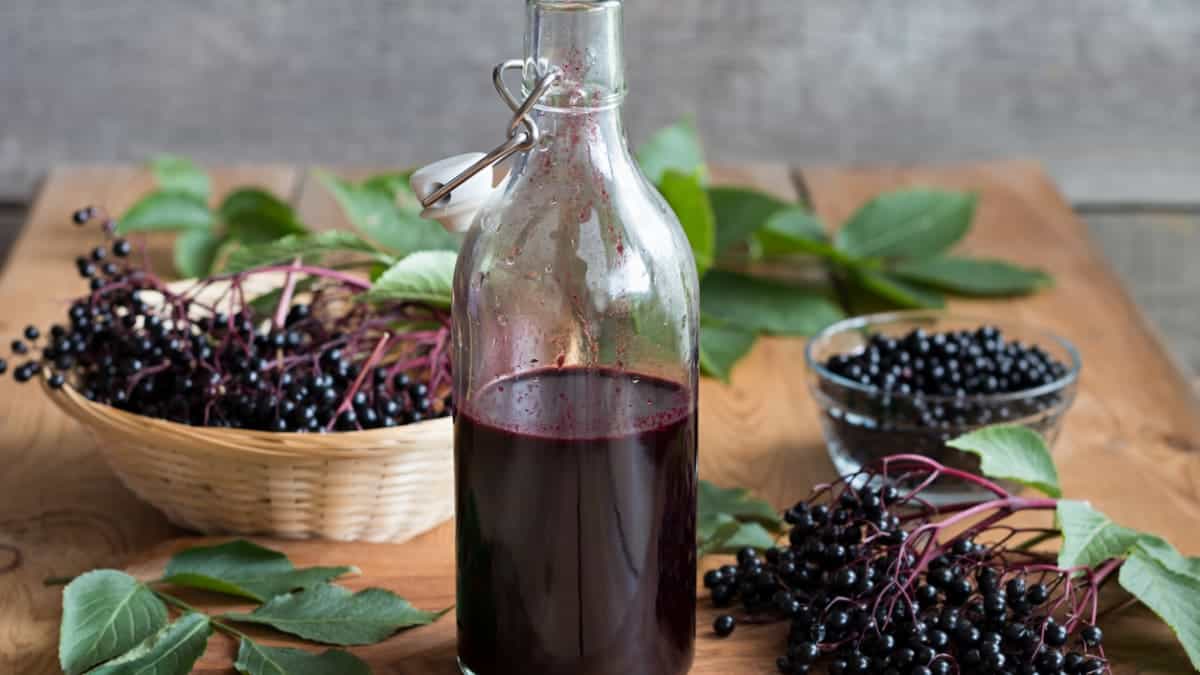 Elderberry – Nutritional Facts and Health Benefits