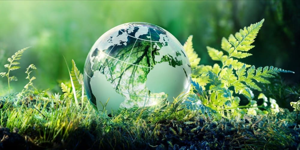 Want to Become Environmentally Conscious but Not Sure How? These 3 Tips Will Help You Out