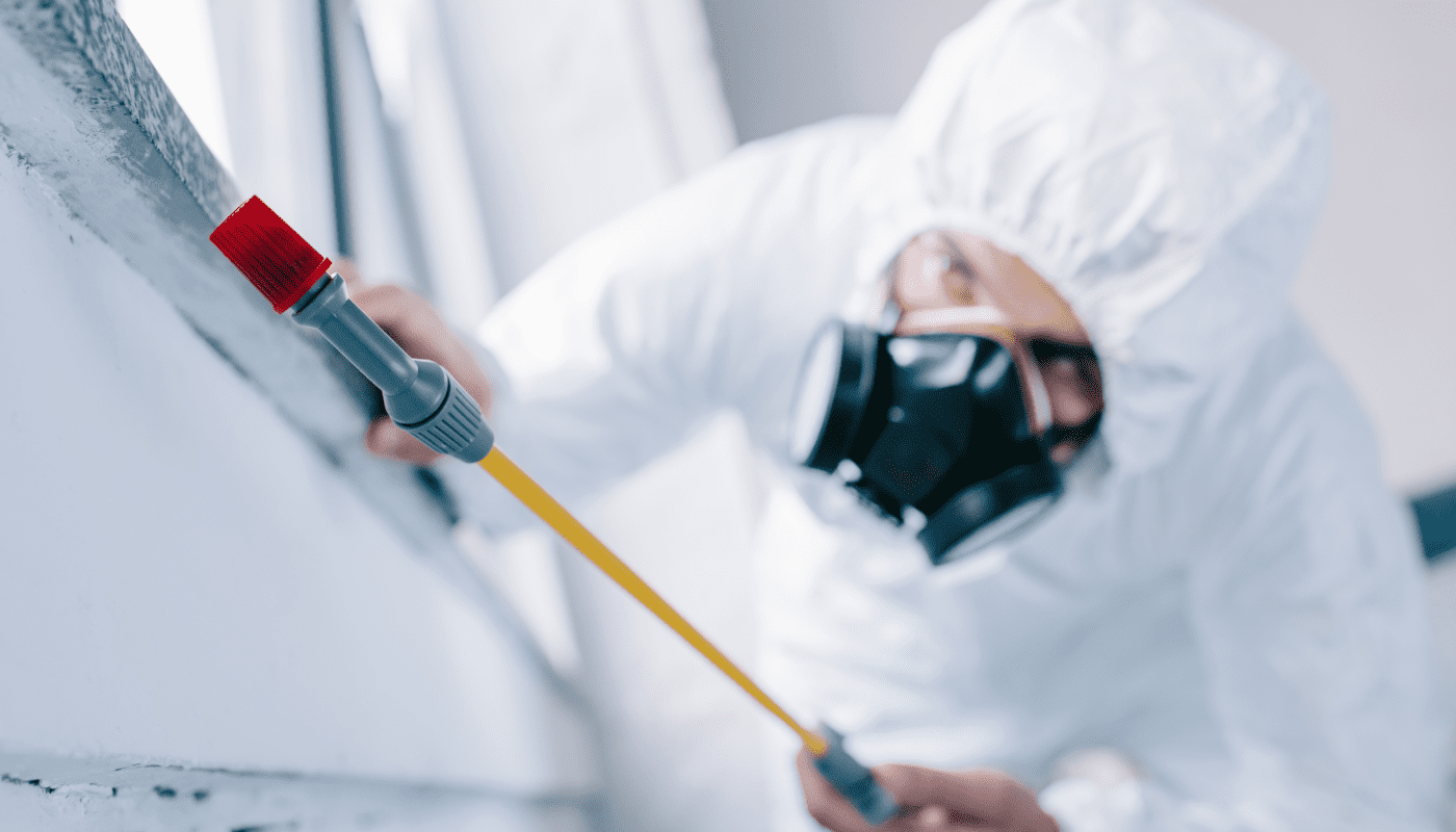 What Benefits Come with Hiring a Pest Control Company?