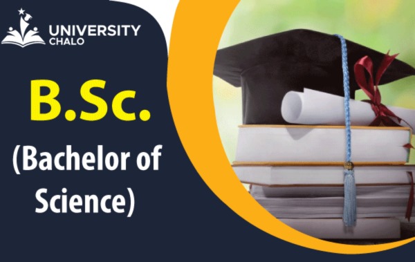 Bachelor of Science – A Gateway to Innovation and Technology