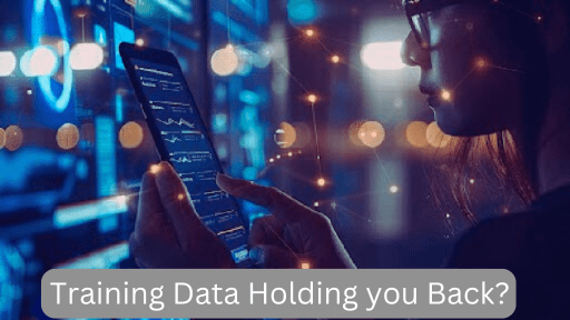 Enhancing Dataset Quality with Data Augmentation Techniques