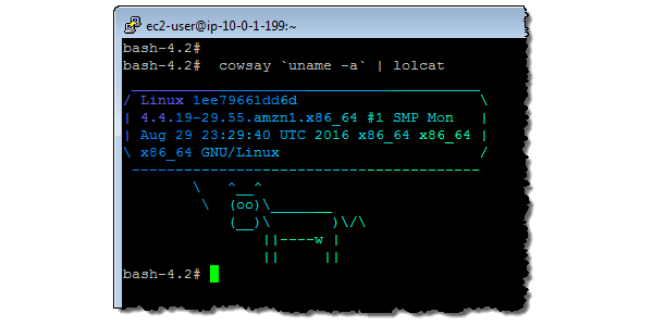 Amazon เปิดตัว Linux Container Image ให้ใช้ได้ทั้งบน Cloud และ On ...