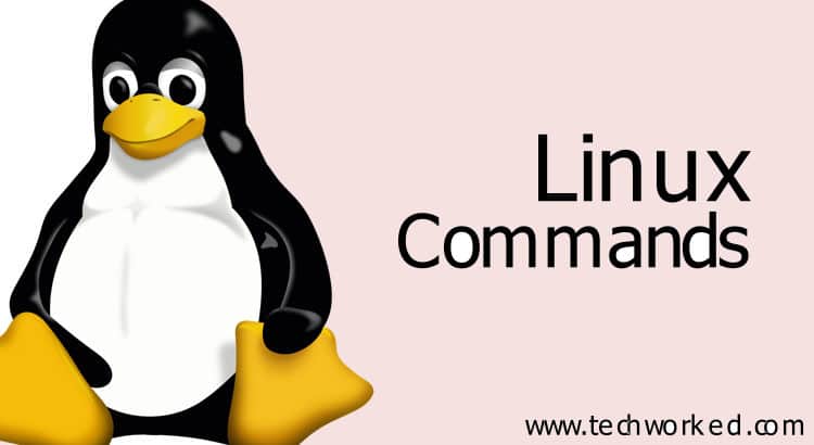 Linux Commands - Techworked