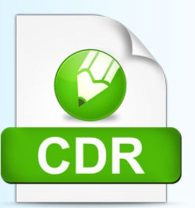 Methods to Recover CDR Corrupted Files