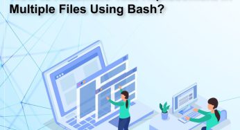 How to Automate Text Replacement in Multiple Files Using Bash?