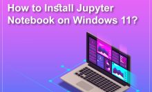 Jupyter Notebook