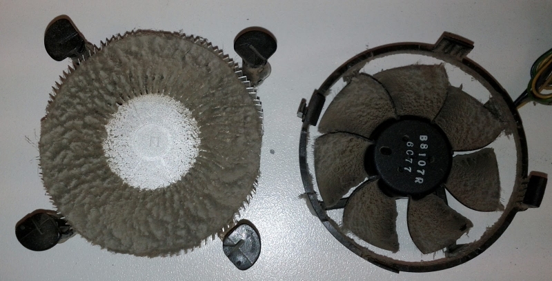 What Is Wrong With My Computer Color Is Super Distorted It S Not The - Premium Dark Background Gallery - Ultra HD