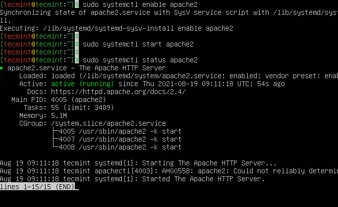 Create a database and user for . How To Install Wordpress Ubuntu Using Lamp Stack