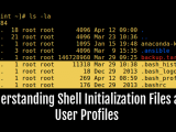 Understanding Shell Initialization Files And User Profiles In Linux