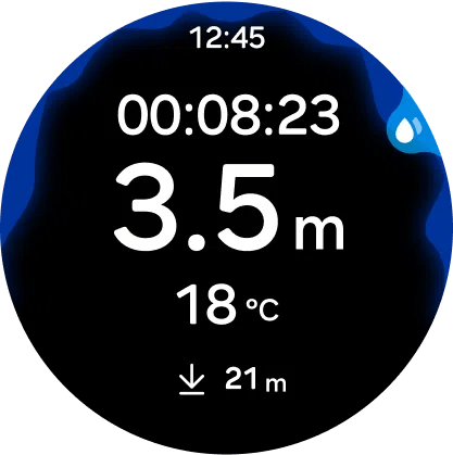 One UI 9 Watch