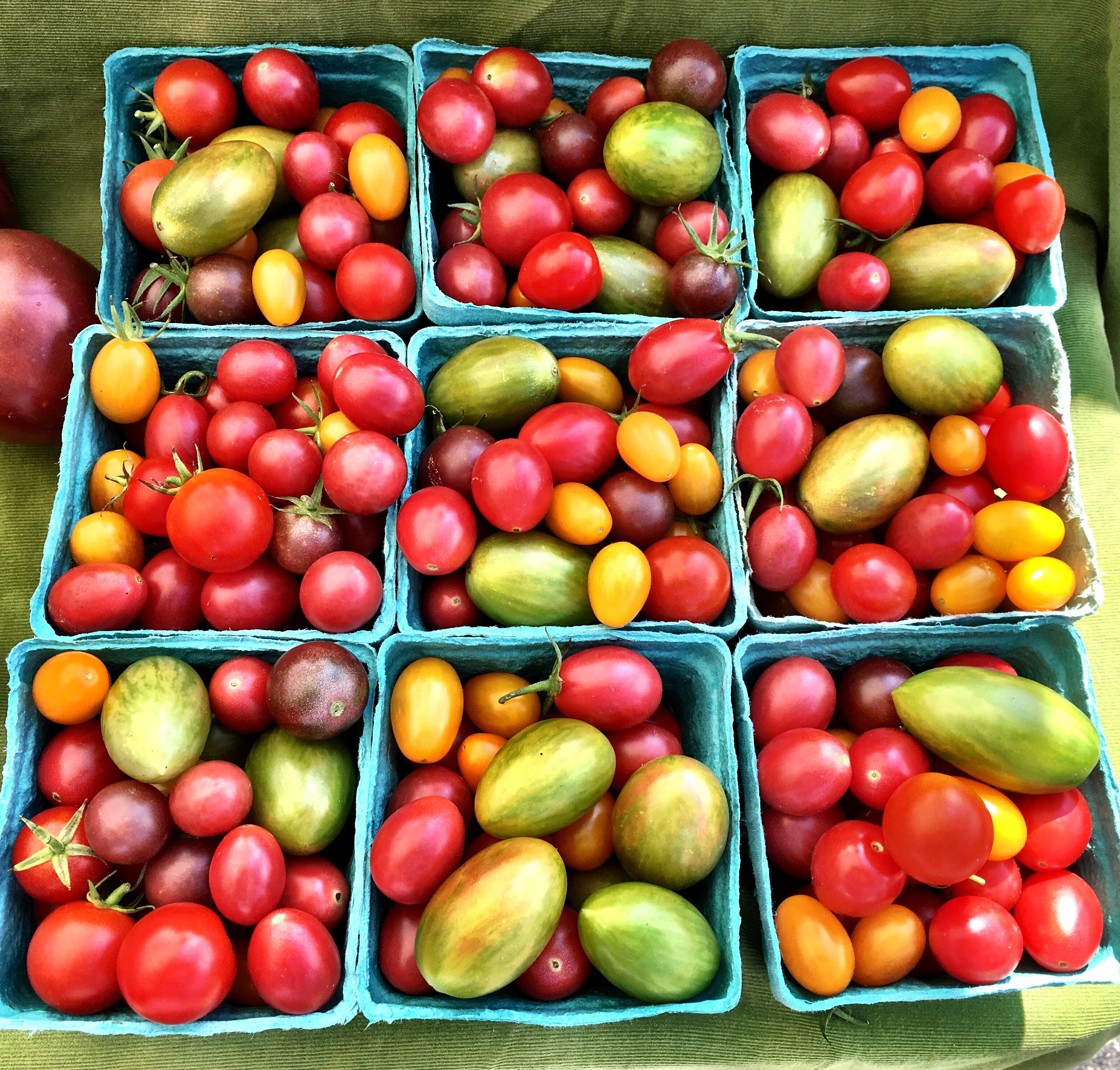August Tomatoes & Fresh Herbs - Ted Kennedy Watson