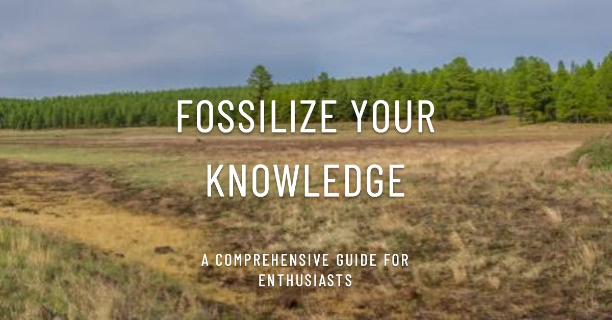 Fossil Types Guide Unearth Earth S Ancient Treasures Teeoutdoor