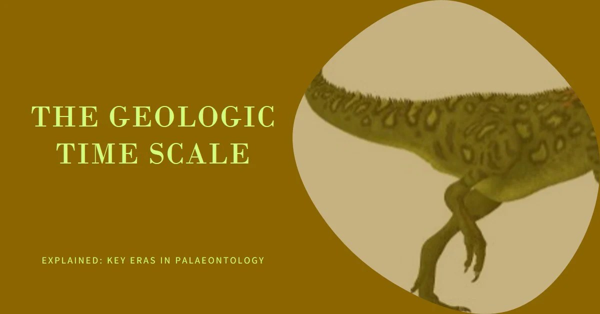 Geologic Time Scale Key Eras In Earth S History Explained Teeoutdoor