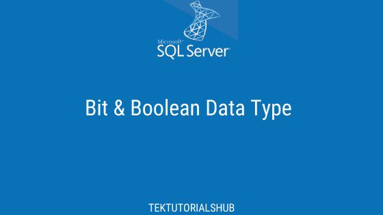 Bit Boolean Data Type In Sql Server Tektutorialshub - Retina City Pictures for Desktop