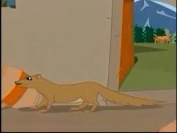 pics The Loyal Mongoose Images think before you act