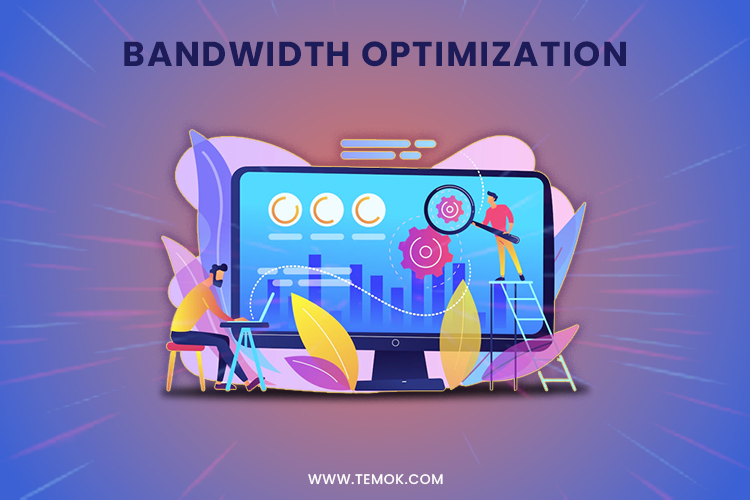 Choose the right bandwidth plan for dedicated server l temok