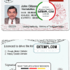 Tonga driver license PSD template