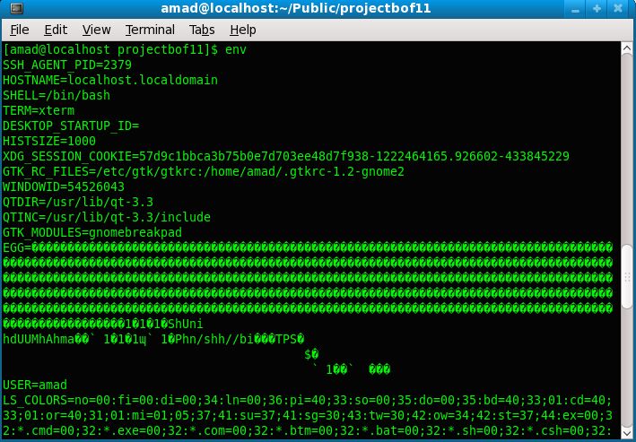 C Console Application On Linux And Environment Variable Stack Overflow - Amazing Ocean Design - Full HD