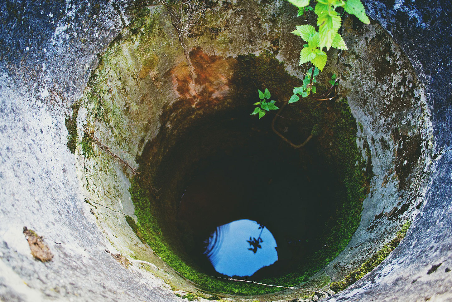 Old, mossy well with water visible at bottom