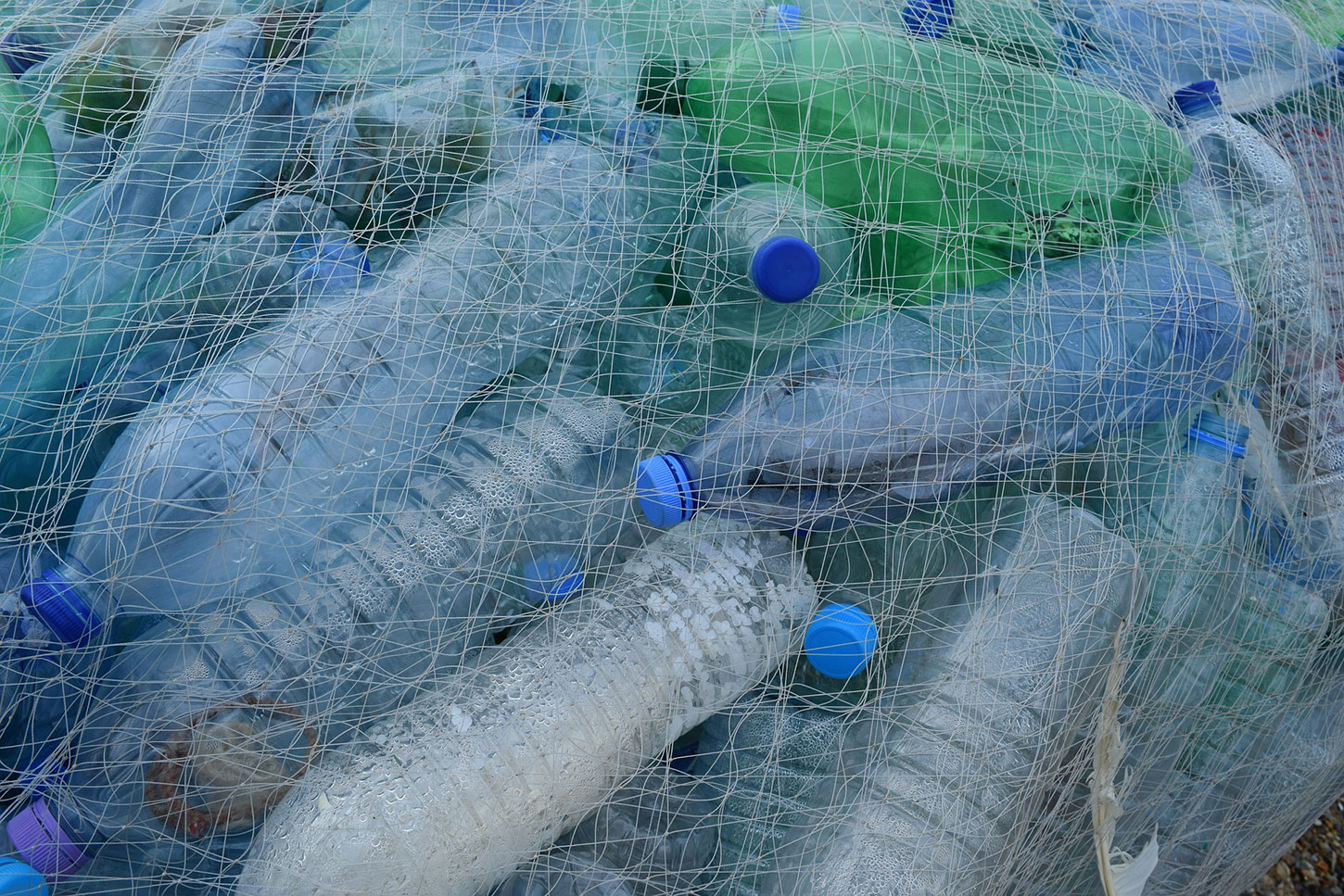 Plastic bottles in a net