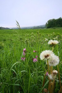 vermont The landscape around Craftsbury Common, Vermont.