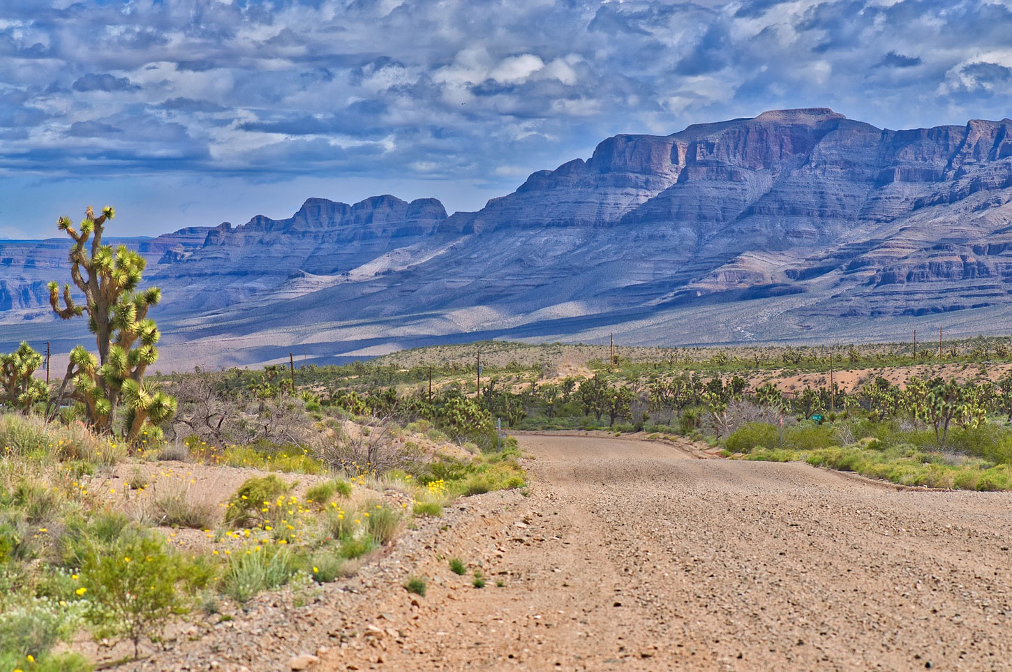 Migration in the Borderlands, by Lauret Savoy