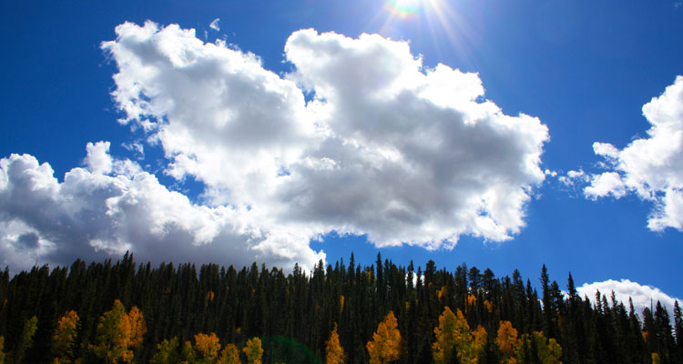 Terrain.org 6th Annual Contests in Fiction, Nonfiction + Poetry