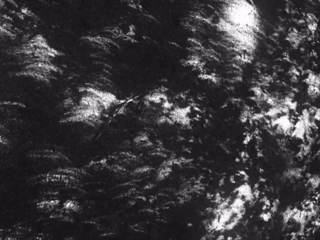 Partial Totality, by John Lane