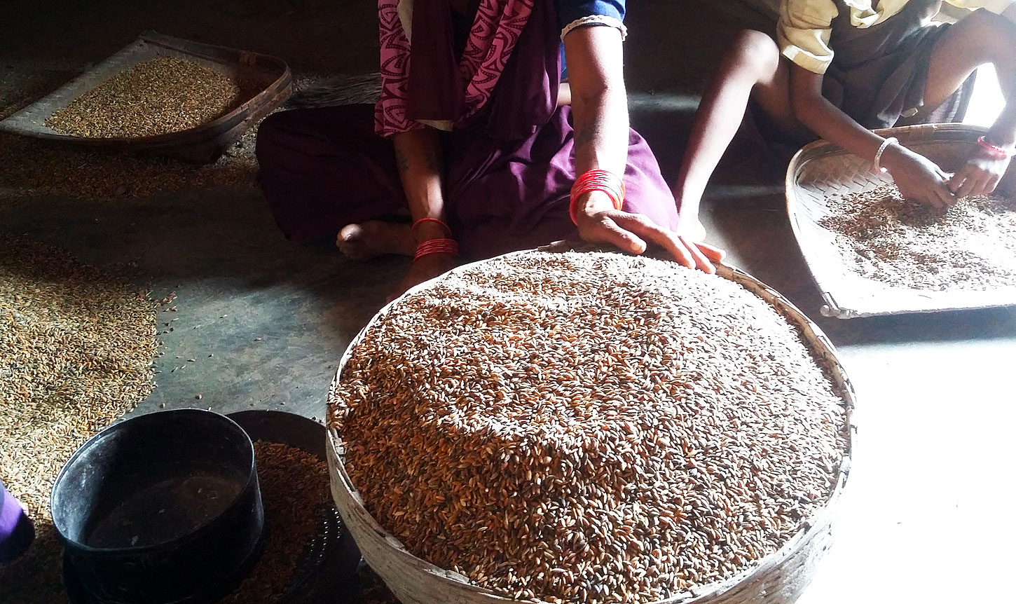A Life of Science: Identity and Environmental Politics in Rainfed India, by Carly Nichols