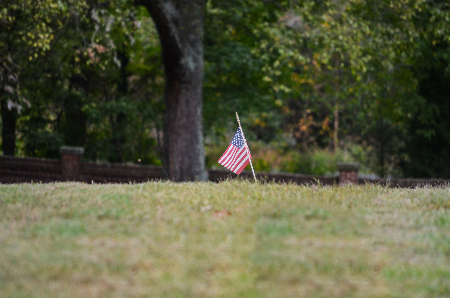Letter to America, by Erin Malone